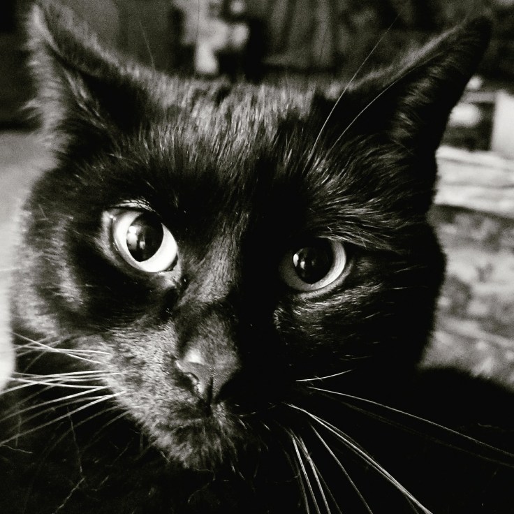 IMG_20171201_195642_809