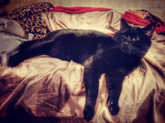 IMG_20180502_211841_813